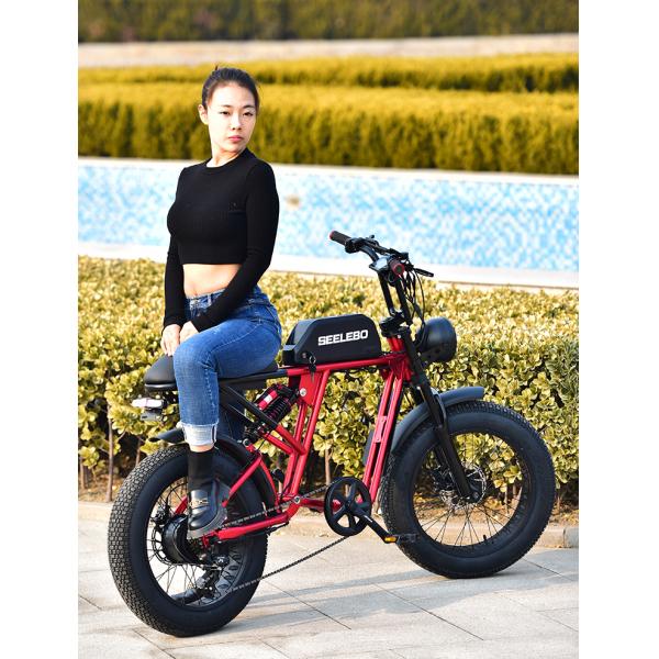 High Power Electric Cycle Motor 500w 750w 1000w E-bike GOMID Retro Electric Fat Tire Bicycle with Wheel Size 20*4.0 Inch