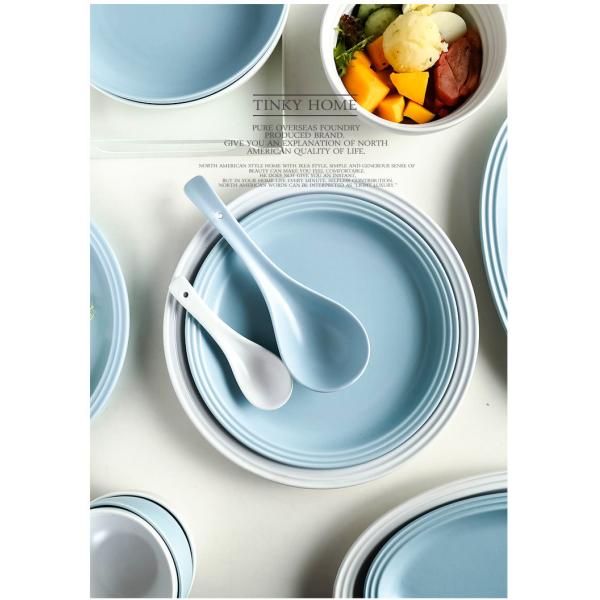 LFGB Matte Simple Japanese Style Ceramic Dinnerware Sets