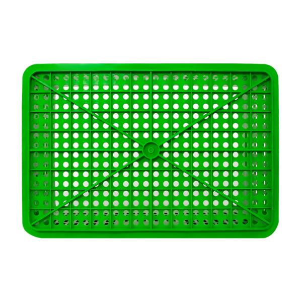 Customized Logo Plastic Fruit Shopping Basket Collapsible Crate for Tomato Storage