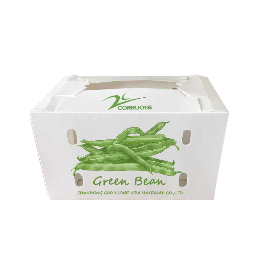 Correx Corn Vegetable Corrugated Boxes Corrugated Plastic Shipping Boxes