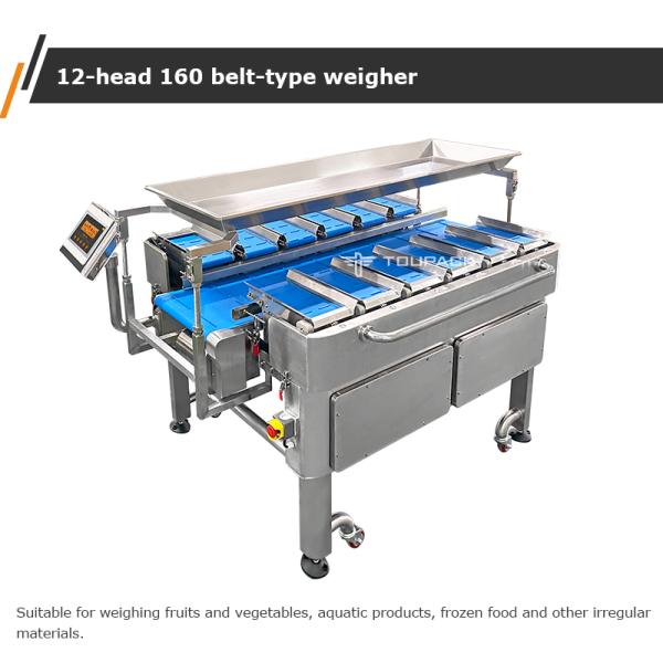 Multi-Function Combination Weigher Scale Fixed Weight Conveyor Belt Packing Machine For Food New Generation Conveyor Belt Scale