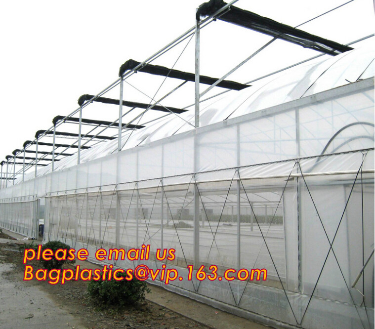 100% new HDPE insect mesh / anti bird net for apple trees,greenhouse anti insect net for plant, agriculture net Anti-ins