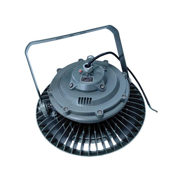 ATEX 100W Class 1 Div 2 Explosion Proof LED Lamp , AC110-240V Input Explosion-proof Lights Fixture