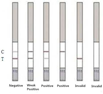 Tilmicosin Rapid Test Strip For Dairy Products