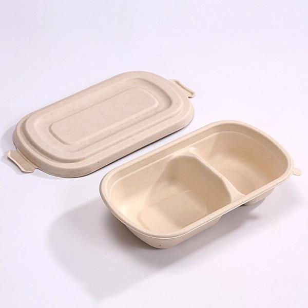 Quality Eco Friendly Compostable Sugarcane Container 1000ml 2 Compartment Takeaway Containers for sale