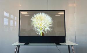 China High definition OLED Transparent Display See Through OLED wholesale