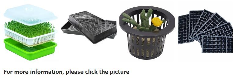 HOTICULTURAL MULCH FILM,AGRICULTURAL PE FILM,MARKET GARDENERS CLOCHE FILM,PE FILM FOR CORN,PLASTIC FILM COVER,TOMATO COV
