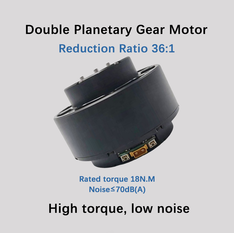 Faradyi Custom Low Speed High Torque Precise Brushless Bldc Drive Gear Robot Motor wWth Encoder