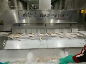 Vegetable Flash Tunnel Blast Freezer Fish Feed Processing Liquid Nitrogen Tunnel Freezer