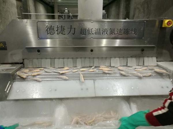 Quality Vegetable Flash Tunnel Blast Freezer Fish Feed Processing Liquid Nitrogen Tunnel Freezer for sale
