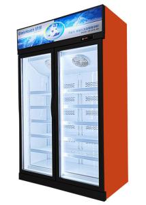 China Energy Efficiency Commercial Display Freezer Upright Refrigerator For Shop wholesale