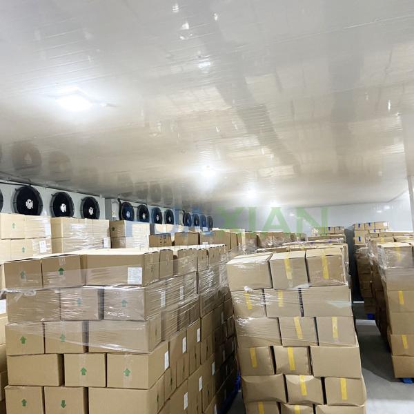 Vegetable/Fruit/Meats Walk in Cooler Type Cold Storage Room with Compressor Condenser Units
