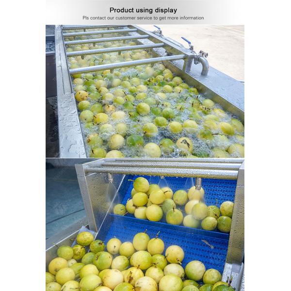 Passion fruit cleaning and drying sorting production line Fruit Vegetable FOOD processing production Machine