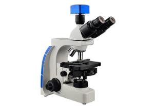 China Halogen Trinocular Phase Contrast Microscope 1000X Bright Field And Dark Field Microscopy wholesale