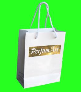 China CMYK Colors Printing Paper Bag , Custom Printing Paper Bags OEM Design wholesale