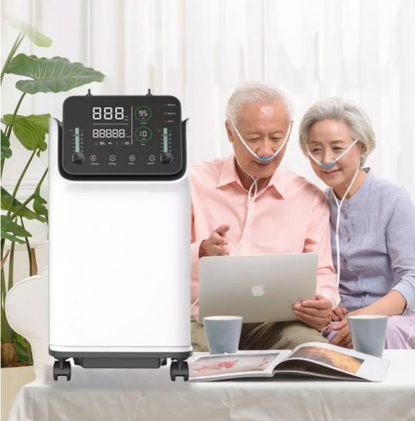 Quality Dual Flow Mobile Oxygen O2 Concentrator Machine 10 L for sale