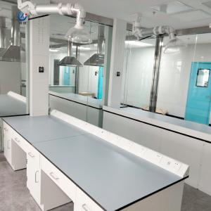 Acid Resistant Lab Wall Bench Epoxy Resin Table Top Laboratory Work Table