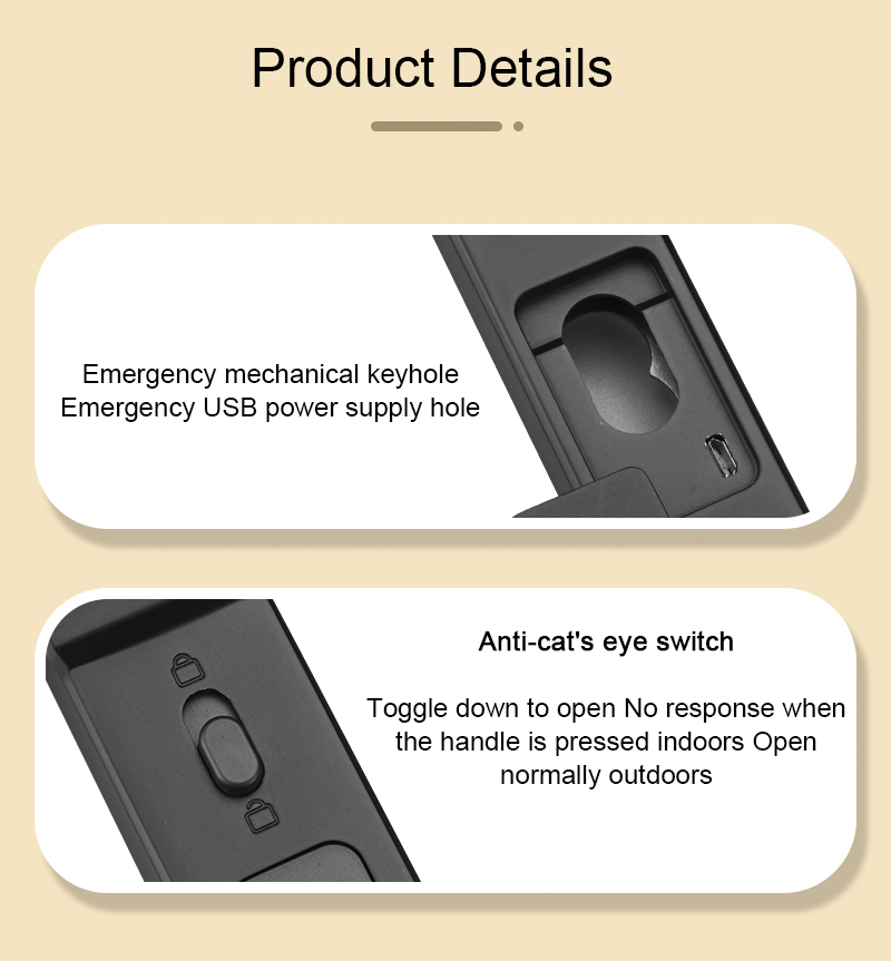 3kg App Controlled Front Door Lock Ttlock Smart Lock Aluminium Door