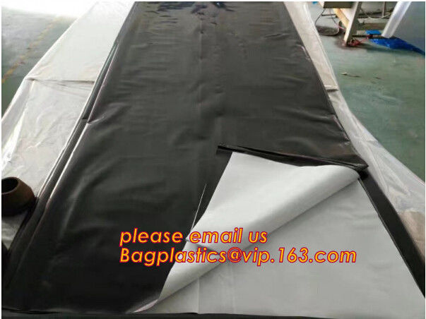 HOTICULTURAL MULCH FILM,AGRICULTURAL PE FILM,MARKET GARDENERS CLOCHE FILM,PE FILM FOR CORN,PLASTIC FILM COVER,TOMATO COV