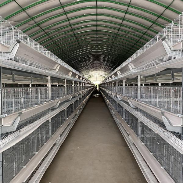 Quality Hot Dip Galvanized Steel Fully Automatic Vertical H Type Multitier Chicken Egg Laying Cage for sale