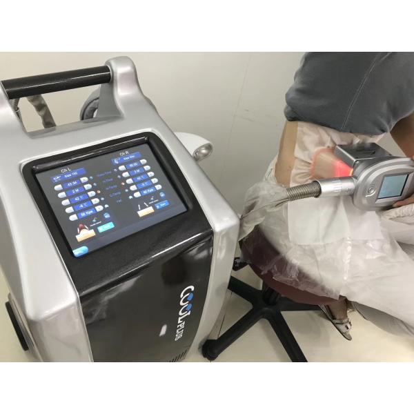 Fat Freezing Cryolipolysis Cryo Machine Wich Double 360 Degree Handles