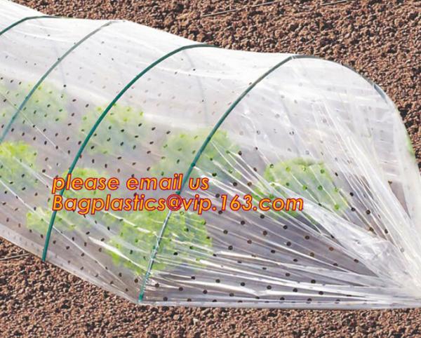 Quality high light transmittance solar control seeding nursery greenhouse covers,100% virgin LDPE protective single layer cucumb for sale