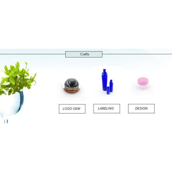 Non Spill 28/400 28/410 Plastic Plant Mister