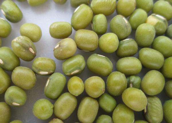 Quality Mung Beans Natural Agricultural Products For Food for sale