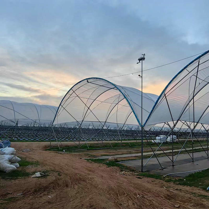 10000 Sqm Easy Connected Tunnel Cgreenhoue Plastic Poly Film Growing Strawberry Bluberry Berry Fruits