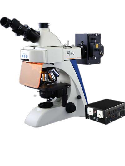 Quality Inverted Optical Upright Fluorescence Microscope 1000X With Multi Color Filter for sale