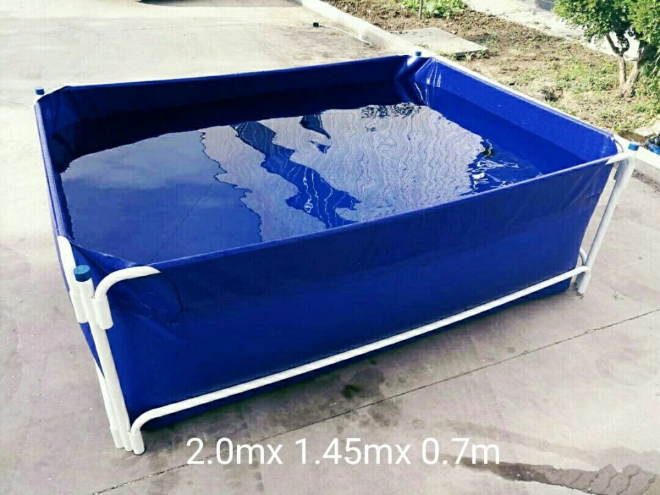 China Wholesale Pvc Fish Tank wholesale