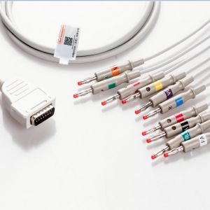 10 Lead EKG Wires