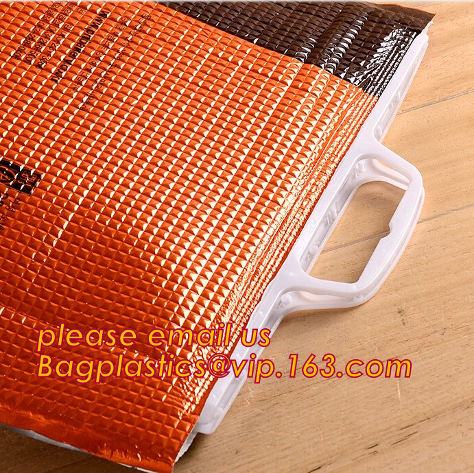 Customized logo printing insulated food delivery cooler bag,wholesale waterproof food delivery thermal bags bagplastics