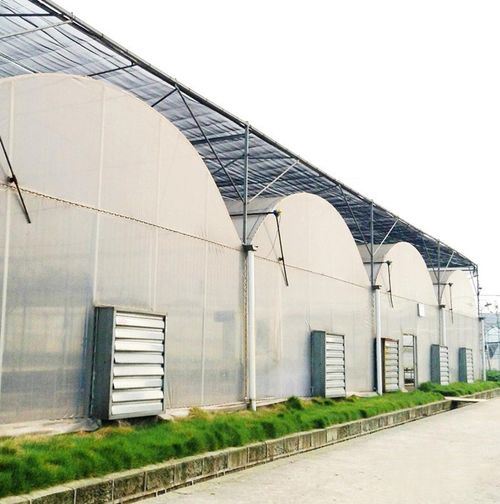 2025 Hot Sale Industrial Air Ventilation Exhaust Fan for Greenhouse Poultry Farm Electric Good Price 275g Frame