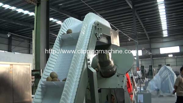 potato-mesh-bag-clipping-machine-elevator