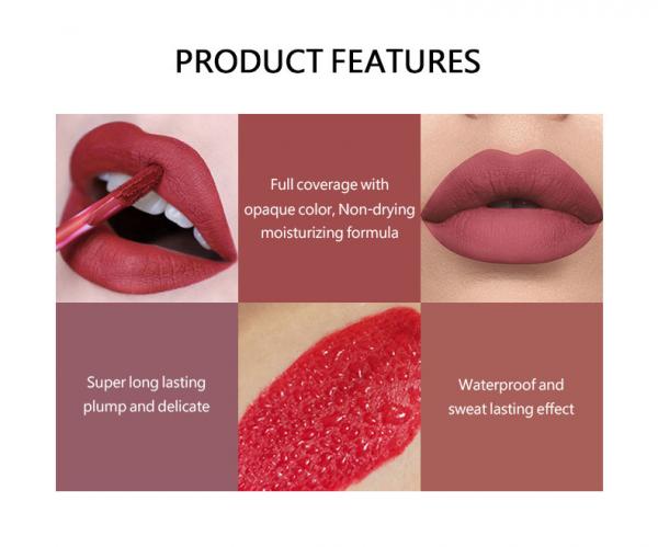 Beauty Long Lasting Lipstick Velvet Lip Gloss Set For Girls