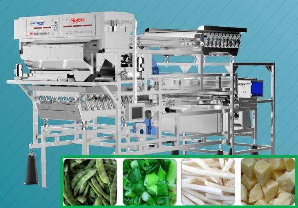 Quality Frozen Bean Color Sorter Machine , Potato Sorting Equipment With Phoenix Lens for sale