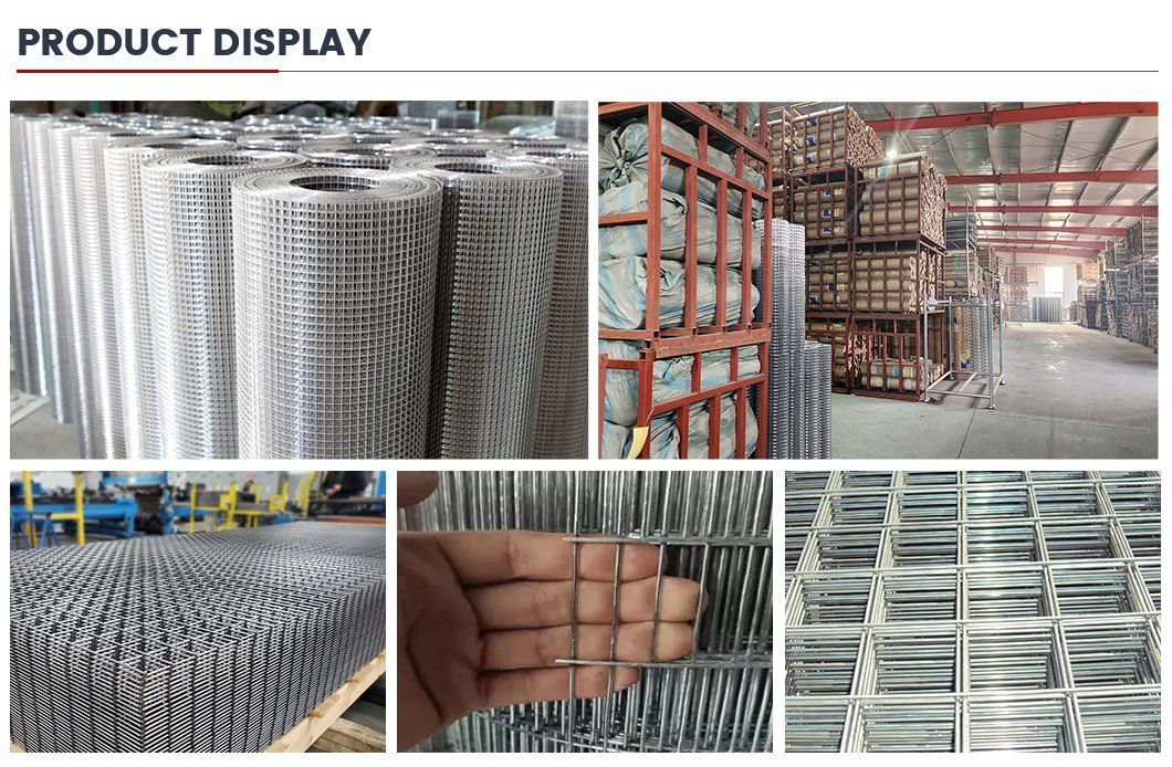 Cheap Preice Galvanized Reinforcing Concrete Rebar Welded Wire Mesh for Construction
