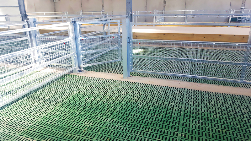 Sliding Door and Roller Door Design Q345 Metal Frame Goat/Sheep House for Cow/Cattle Farm