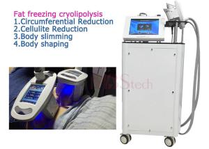 4 Handle Fat burning Cryolipolysis Machine For Home Use