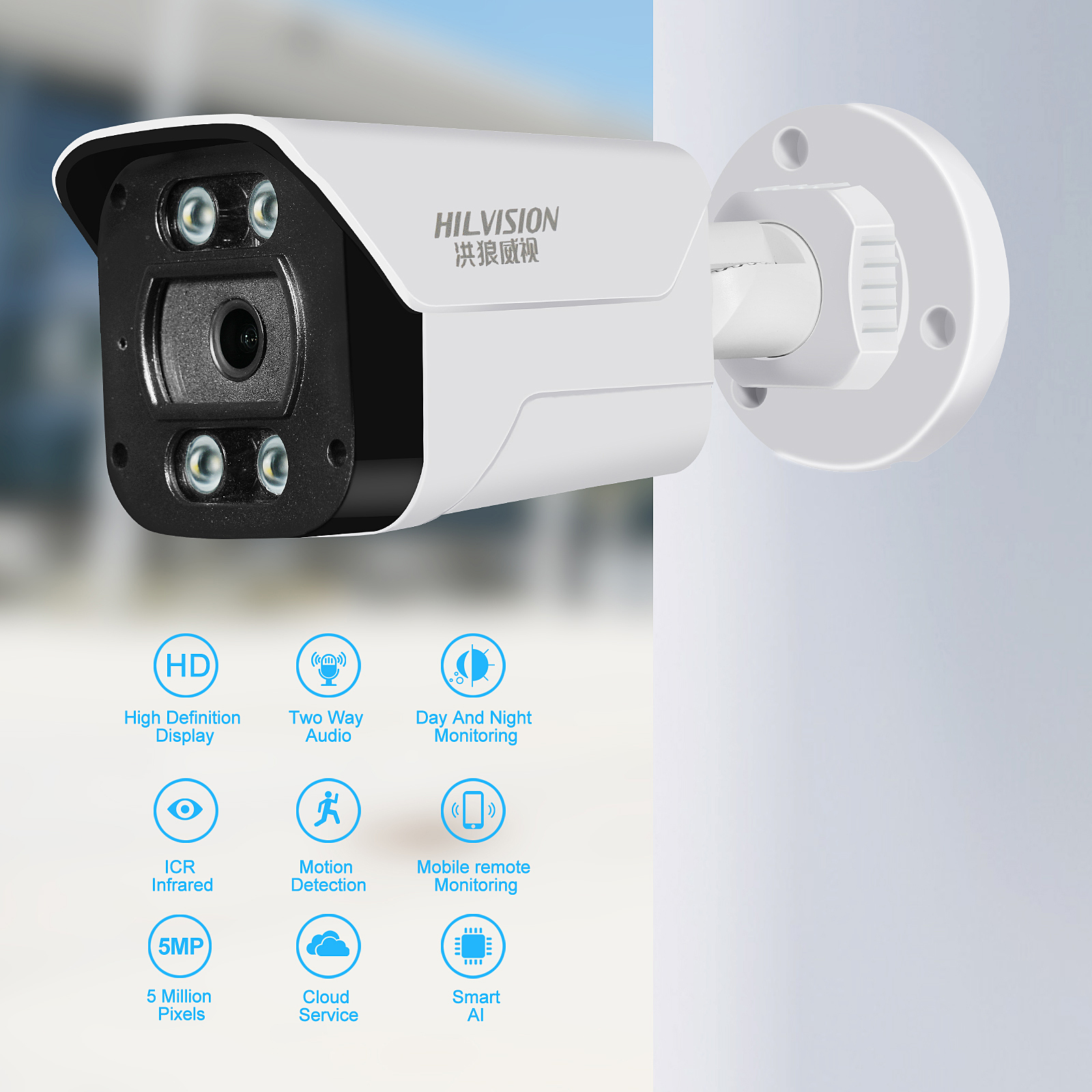 C2240TD-10G Compact Network Camera with Wide Voltage Control and NIGHT VISION Function