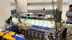 China Stainless Steel Mango Peeling Machine Suitable For Apples Potatoes Carrots Etc. Automatic Batch Peeling wholesale