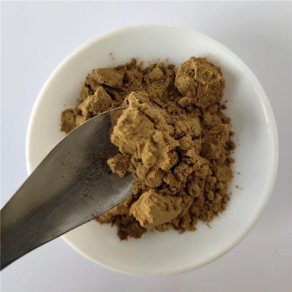 wholesale hydrangea root extract/dichroa febrifuga extract for tablets