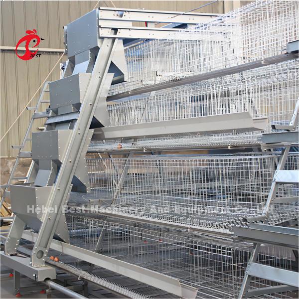 Quality Automatic Egg Layer Chicken Farm Laying Hens Poultry Battery Cages Rose for sale