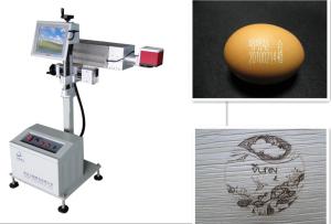 China Nometal Laser Date Coding Machine 100 X 100 mm Marking Range Maintenance - Free wholesale