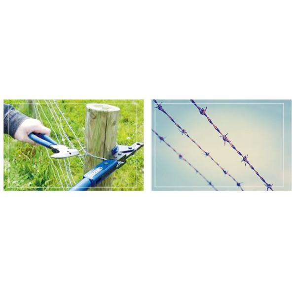 50KG Per Roll Barbed Wire Fence For For Grassland Boundary 1.5-3cm Length