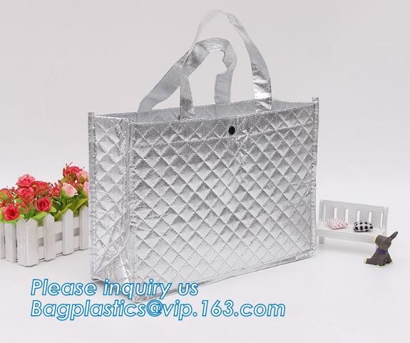 Customized logo printing insulated food delivery cooler bag,wholesale waterproof food delivery thermal bags bagplastics