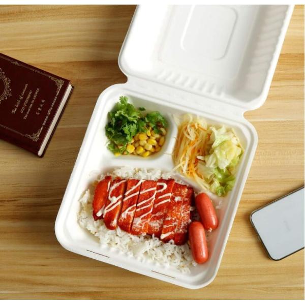 Biodegradable Eco Friendly 3 Compartment Bagasse Clamshell Containers 8 10 Inch