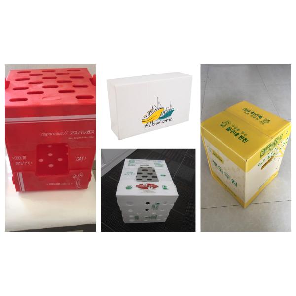 Recyclable Corrugated Plastic Packing Box Collapsible PP Turnover Box