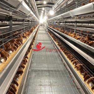 Reliable and Even Feeding 8 tiers Layer Chicken Cage System Fine Management